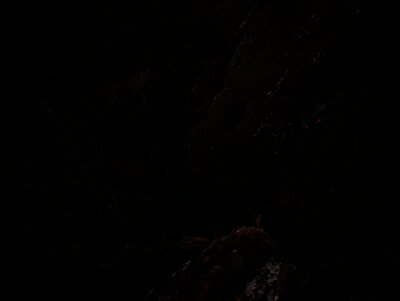 Cheers For The Years, by Felix Russell-Saw