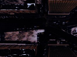 Photo by Nikita Maru