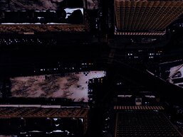 Photo by Nikita Maru