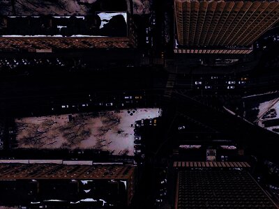 Photo by Nikita Maru